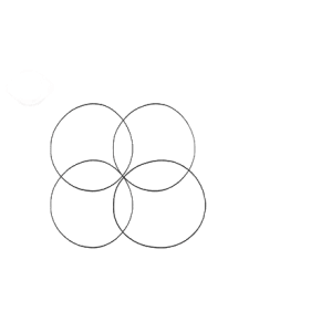 اورینگ دور بوش پیستون پژو ۲۰۶ ویژن ژاپن (Vision O-Ring)